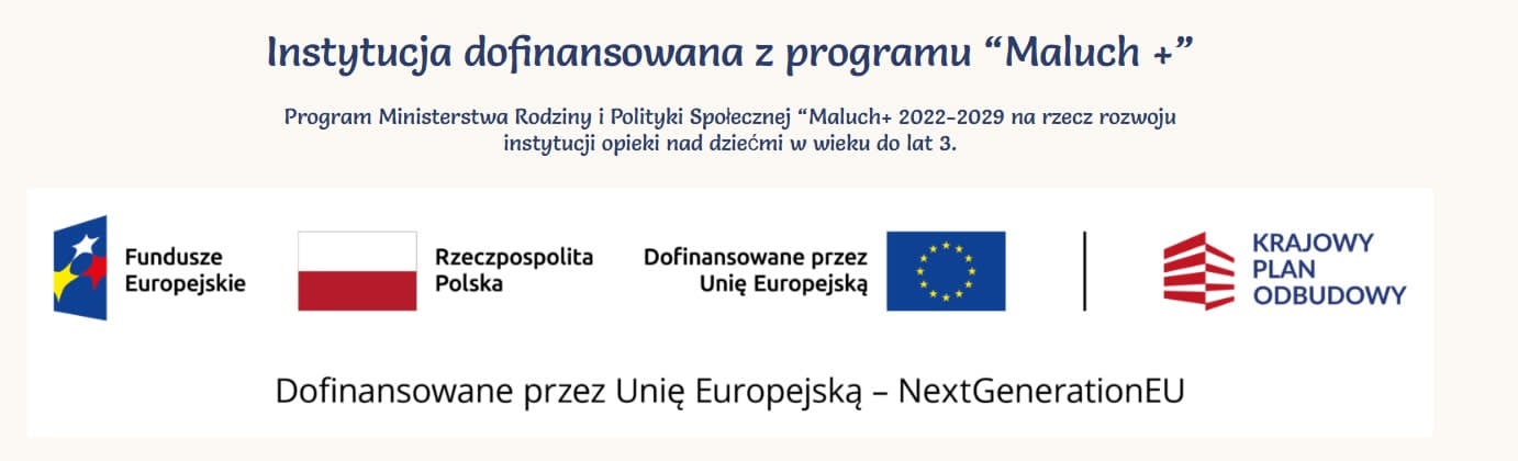 Instytucja dofinansowana z programu Maluch+